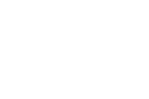 Liu Lab